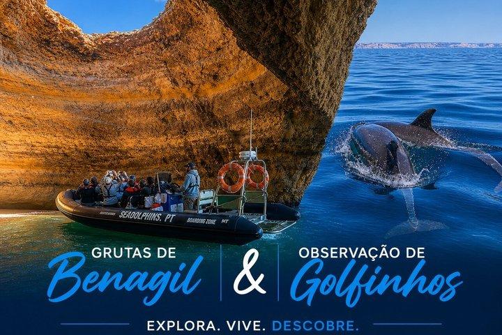 Dolphin Watching & Benagil Caves Boat Tour from Portimão