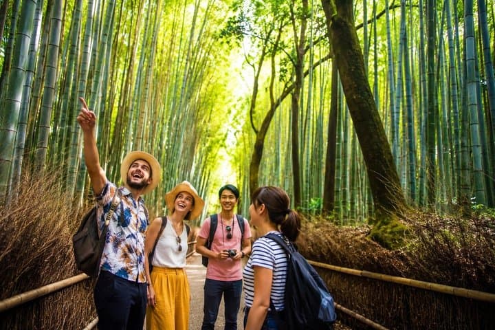 Ultimate Kyoto Arashiyama Tour: Bamboo, Monkeys & Hidden Gardens