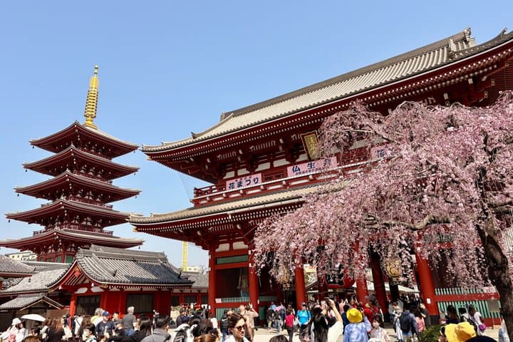 Tokyo Private Highlights Tour by Luxury Car with Local Guide