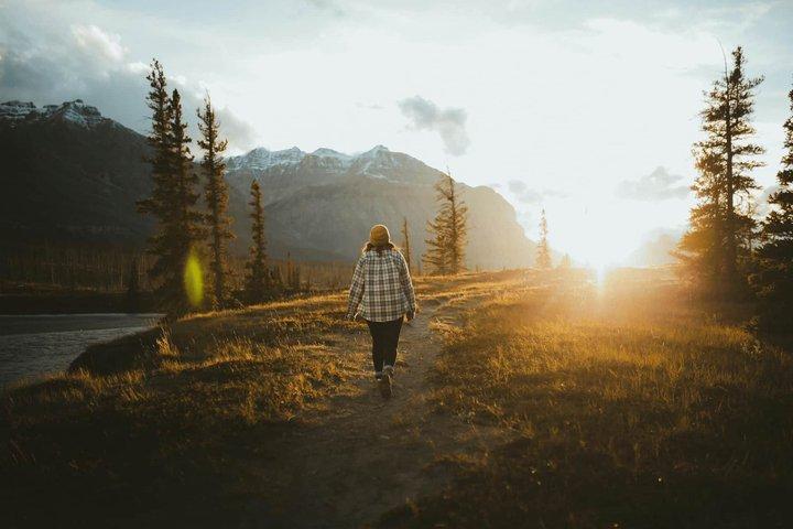 Icefields Parkway & Columbia Icefield Adventure Small Group Tour