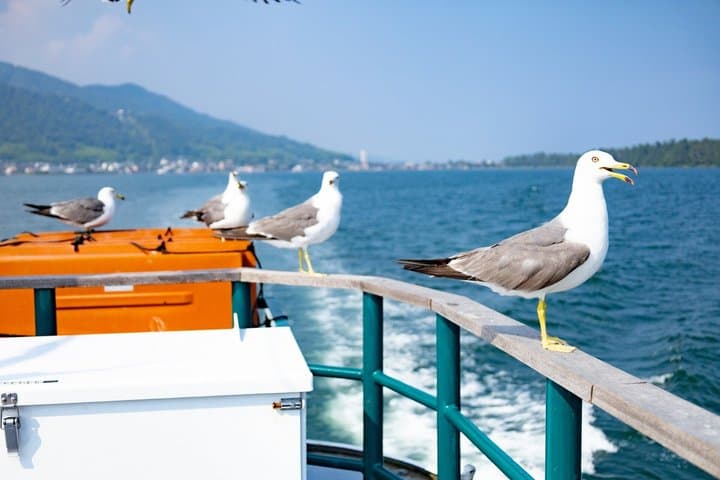 Amanohashidate & Miyama 1-Day Bus Tour: From Osaka/Kyoto w/ Lunch