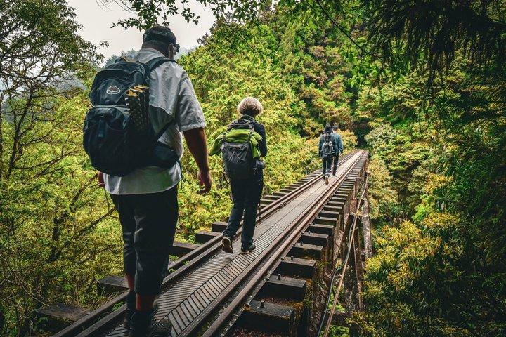 Taichung Alishan National Forest Full-Day Small Group Tour