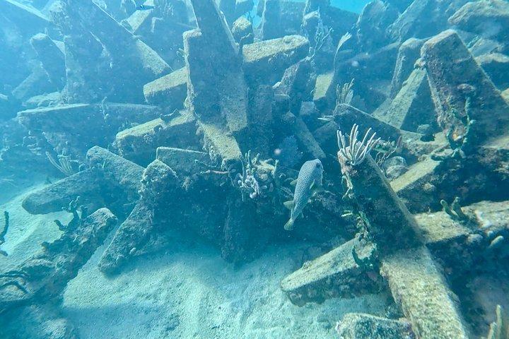 Fort Lauderdale: Ocean Reef Snorkeling Tour w/ Snacks & Drinks