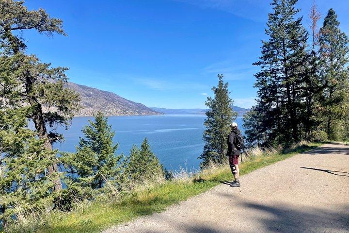 Kelowna: Guided Hike on Knox Mountain and Okanagan Lake Views