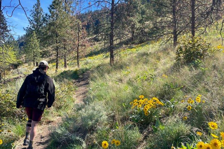 Kelowna: Guided Hike on Knox Mountain and Okanagan Lake Views