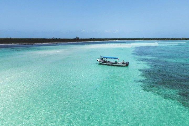Cozumel Snorkel Tour to El Cielo, Palancar and Columbia