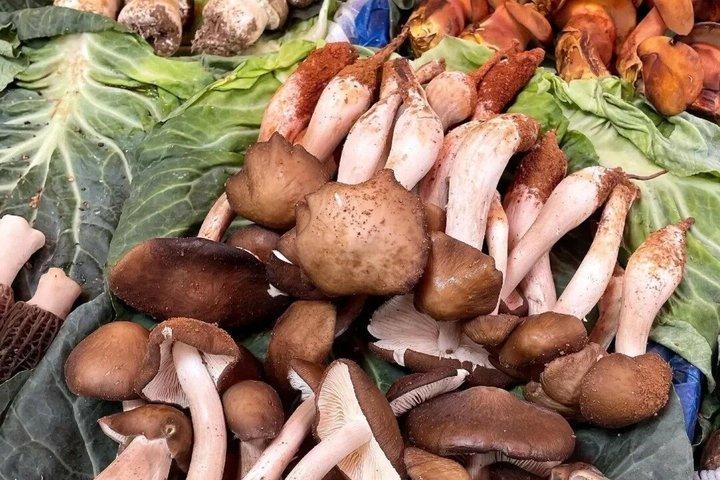 Kunming Local Life Daguan Zhuanxin Market Food and Culture Tour