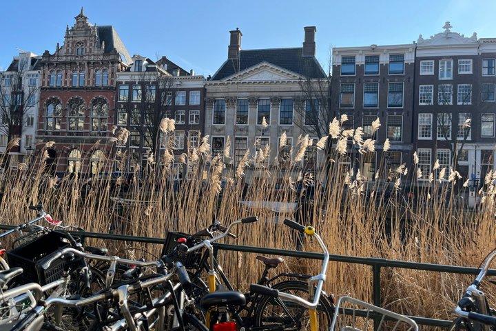 Revealing Untold Stories of Amsterdam Walking Tour