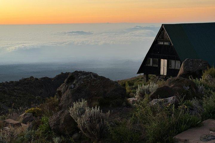 1 Day Mount Kilimanjaro Trek Marangu Route Adventure