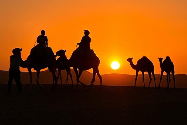 Agafay Desert Sunset Dinner & Fire Show with Optional Camel Ride