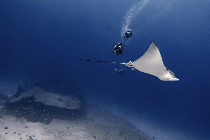 Cabo San Lucas Certified Scuba Diving: 2 Dives with Private Guide
