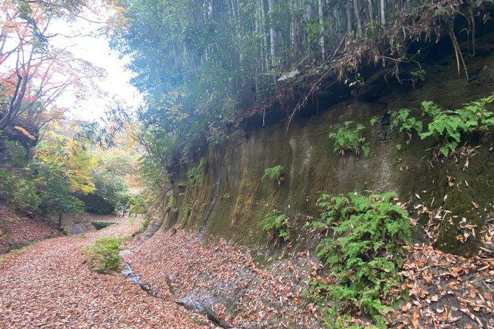 Essence of Kamakura From the samurai temples to the sea