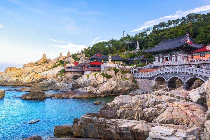 Authentic Busan Full-Day City Highlights Tour