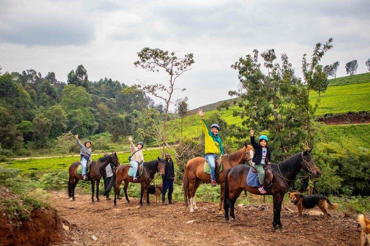 Kiambethu Tea Farm Full-Day Guided Tour from Nairobi with Lunch