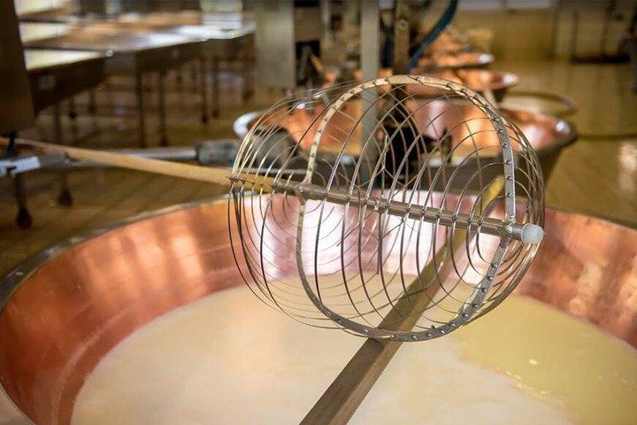 Guided tour of the cheese factory and tasting of Parmigiano Reggiano