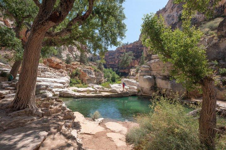 Paradise Valley & Atlas Mountains Adventure from Agadir/Taghazout