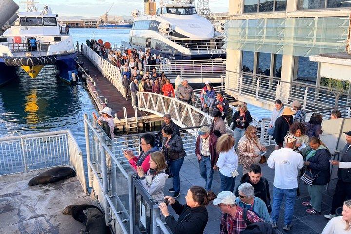 Robben Island Tour from Cape Town Pre-Booked Ticket