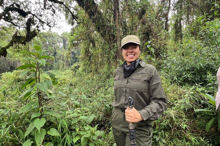 One Day Rwanda Gorilla Trekking with Dian Fossey or Guardians