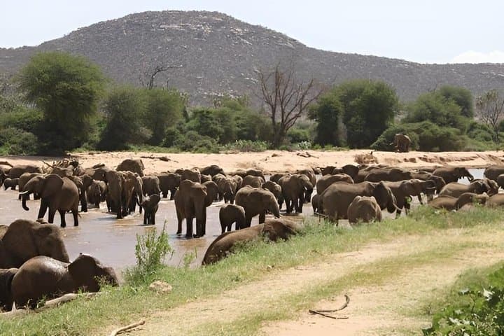 Mount Ololonkwe and Buffalo Springs
