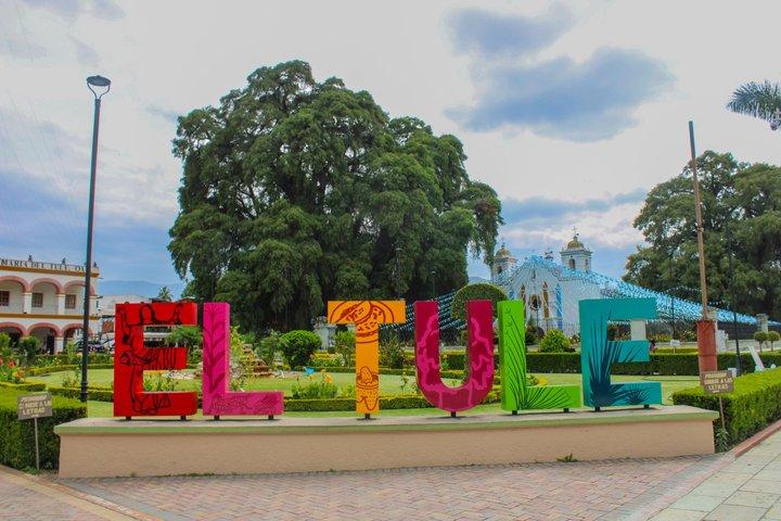 Oaxaca: Hierve el Agua, Tule, Mitla & Mezcal Full-Day Tour.