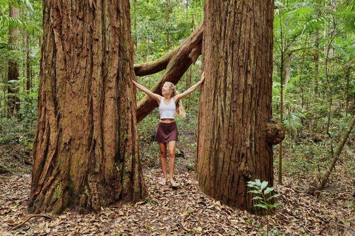 K'gari (Fraser Island) Day Tour - From Rainbow Beach