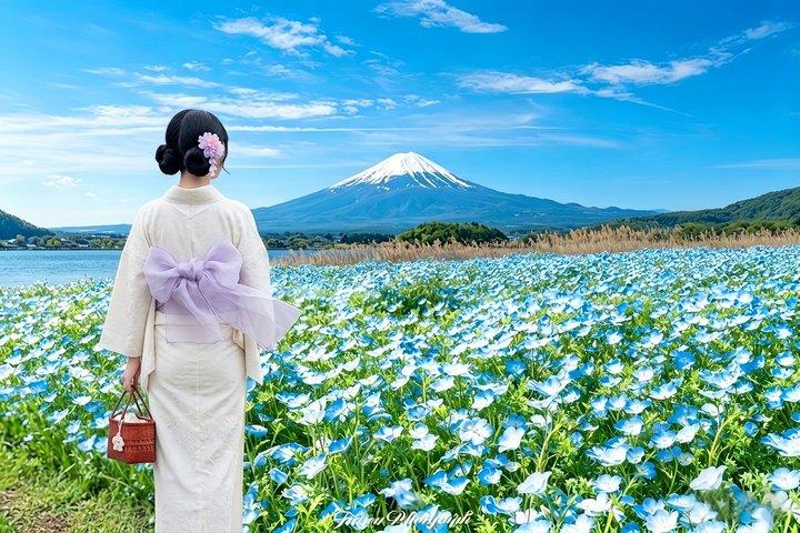 Mount Fuji Instagrammable Spots & Train Experience Day Tour