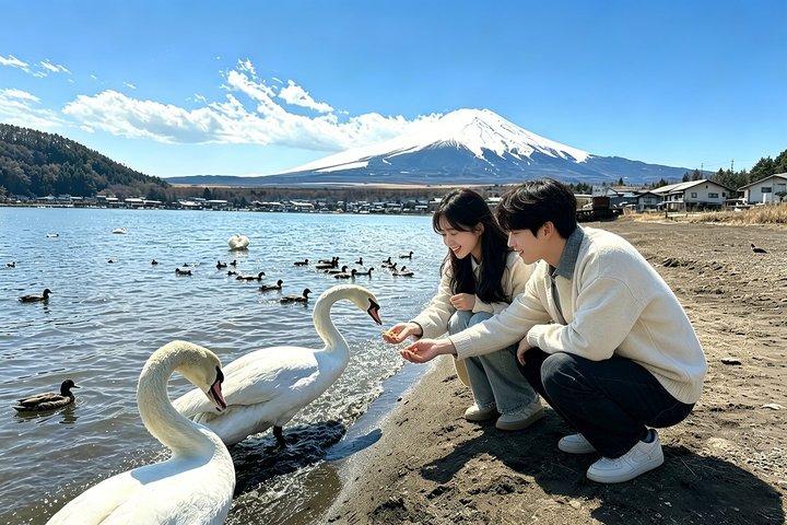 Mount Fuji Instagrammable Spots & Train Experience Day Tour