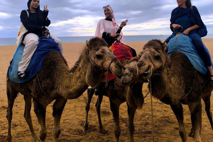 Tangier private Tour : Hercules Cave, Cap Spartel & Camel Ride