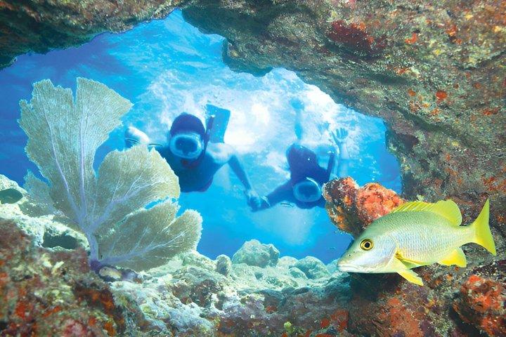 Key West Reef Snorkel – Morning Mimosas or Afternoon Margaritas
