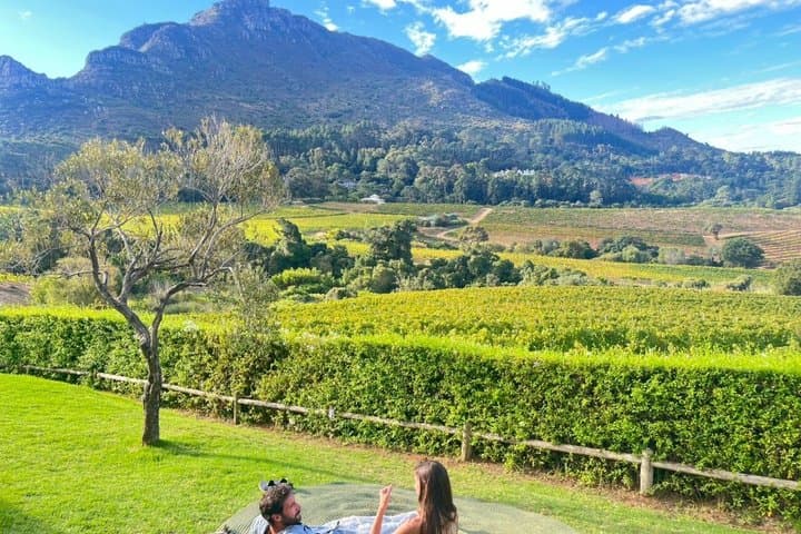 Table Mountain, Kirstenbosch & Constantia Full Day Private Tour