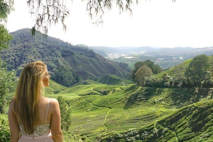 Cameron Highlands Day Trip from Ipoh with Lunch & Mossy Forest