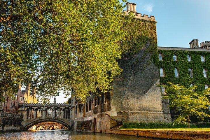 Shared Guided Punting Tour of Cambridge