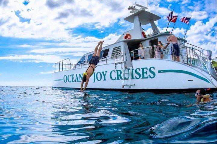 Luxury Snorkel Cruise with Dolphin Watch and Local Buffet