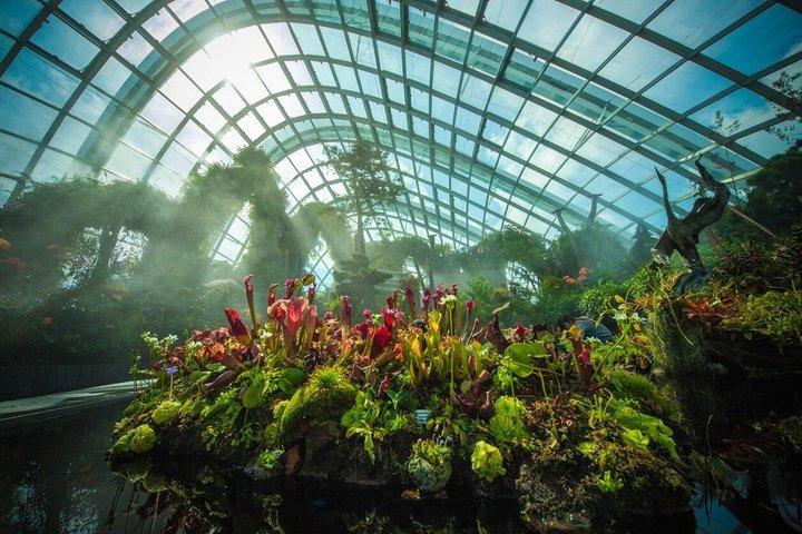 Singapore: Gardens by the Bay Admission E-Ticket