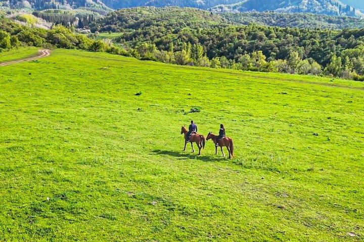 Scenic Horseback Riding Experience in Ile-Alatau National Park