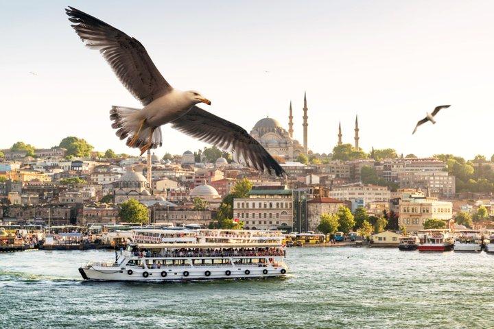 Dolmabahce Palace, Grand Bazaar, Balat Tour with Bosphorus Cruise