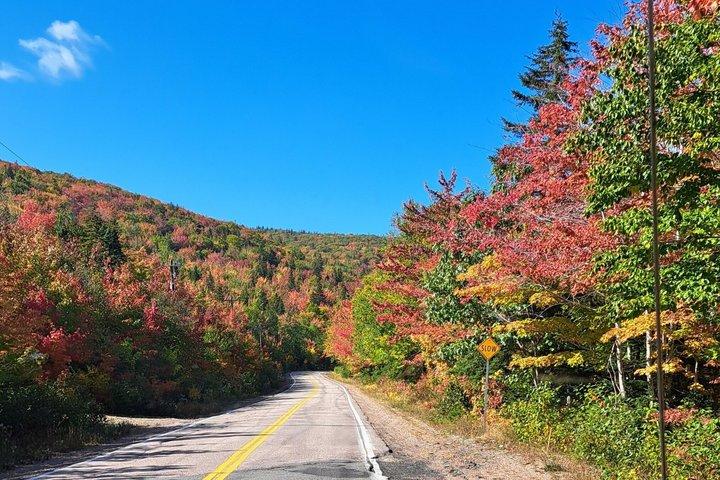 Cabot Trail: Green cove and Coast Excursion from Port of Sydney