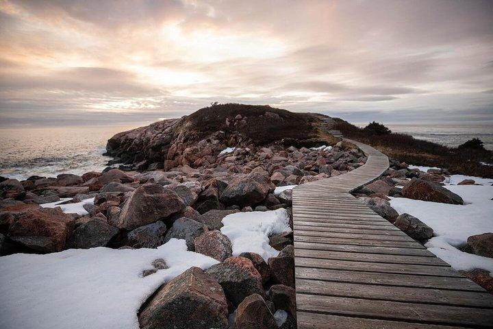 Cabot Trail: Green cove and Coast Excursion from Port of Sydney