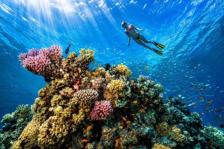 Hurghada: VIP Seafood Yacht to 3 Islands, Dolphins & Snorkeling