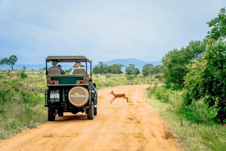 Mikumi National Park Two Day Safari from Dar es Salaam by Train