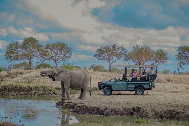 Mikumi National Park Two Day Safari from Dar es Salaam by Train