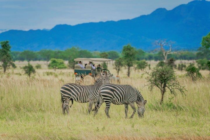 Mikumi National Park Two Day Safari from Dar es Salaam by Train