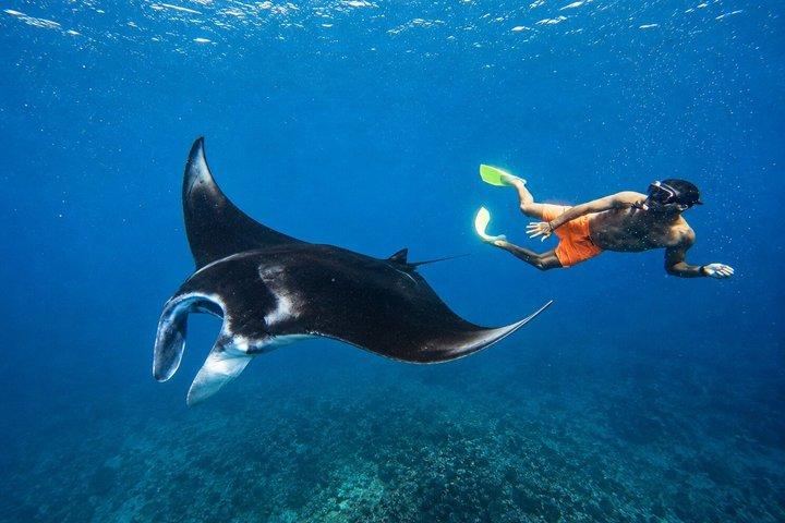 Nusa Penida Private Snorkeling and West Tour Start from Bali