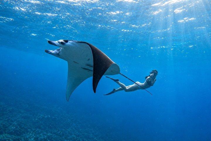 Nusa Penida Private Snorkeling and West Tour Start from Bali