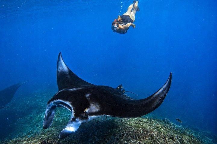 Nusa Penida Private Snorkeling and West Tour Start from Bali