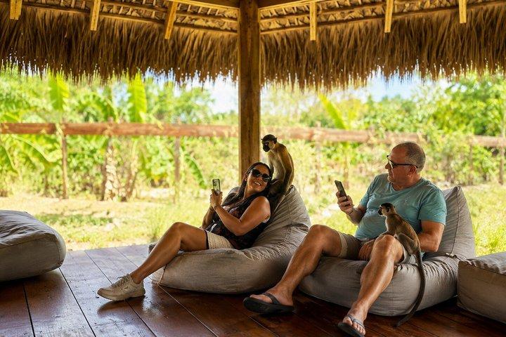 Punta Cana Horseback Riding Tour To Monkeyland & Macao Beach