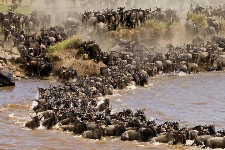 3 Day 4x4 Jeep Tour in Masai Mara Safari