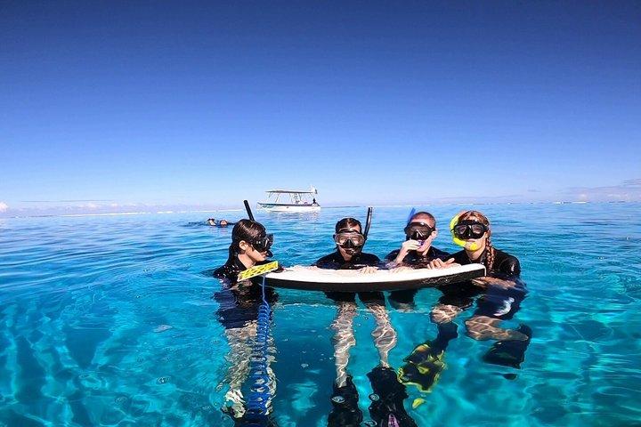 Boat tour + snorkeling in a preserved lagoon - Mobydick Tahiti