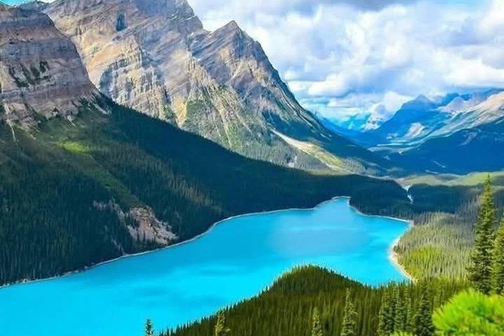 Columbia Icefield, Crowfoot Glacier and Bow ,Peyto Lake Tour