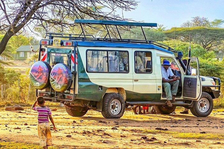 Customized 7 Days Private Kenya Birding & Big Five Safari